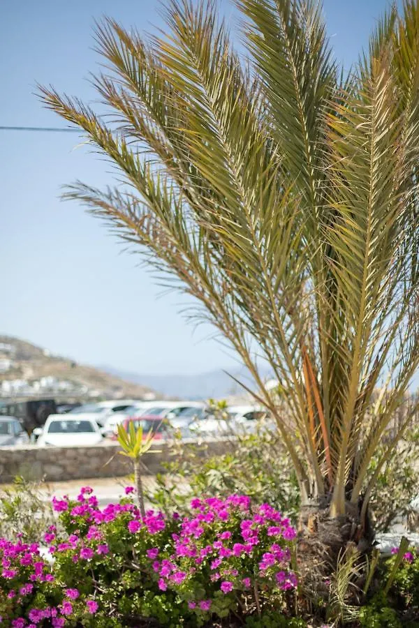 Eleftheria Hotel & Apartments Ornos   Ornos (Mykonos)